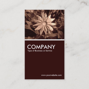 Carte De Visite Prairie Sun Rudbeckia