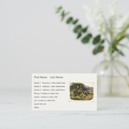 Carte De Visite Prairie Wolf (Debout devant)