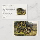 Carte De Visite Prairie Wolf (Devant / Derrière)
