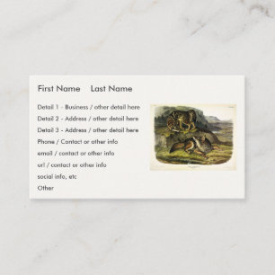 Carte De Visite Prairie Wolf