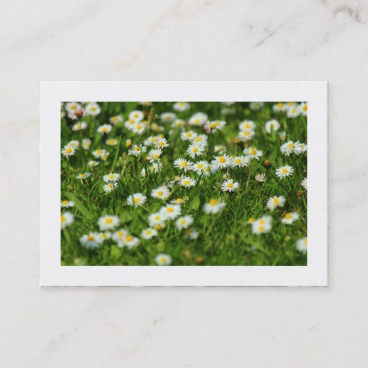 Carte De Visite Pré Daisy (Bordé) (Devant)