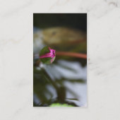 Carte De Visite Première vue/Lotus de bourgeonnement (Dos)