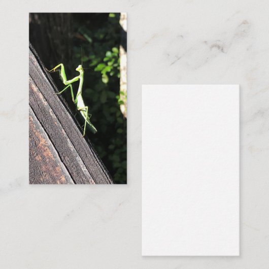 Carte De Visite Prier Mantis (Devant / Derrière)