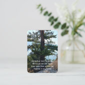 Carte De Visite Prière photo commémorative Forêt de l'Ancien arbre (Debout devant)