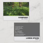 Carte De Visite Printemps dans les bois (Devant / Derrière)