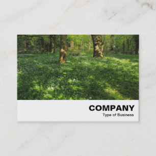 Carte De Visite Printemps dans les bois