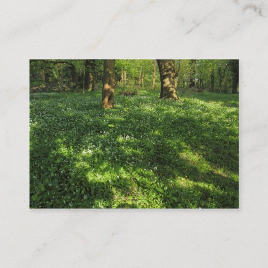 Carte De Visite Printemps dans les bois (Devant)