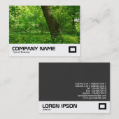 Carte De Visite Printemps dans les bois (Devant / Derrière)