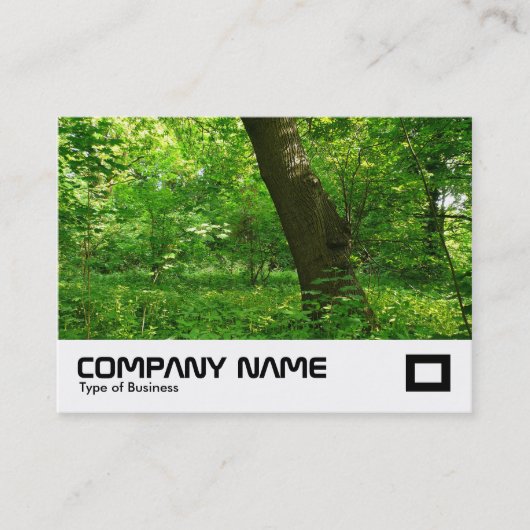 Carte De Visite Printemps dans les bois (Devant)
