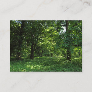 Carte De Visite Printemps dans les Bois 01