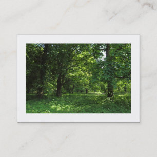 Carte De Visite Printemps dans les bois 01 (frontière)
