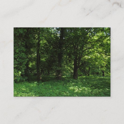 Carte De Visite Printemps dans les bois 02 (Devant)