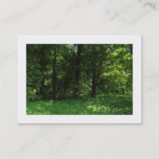 Carte De Visite Printemps dans les bois 02 (frontière) (Devant)