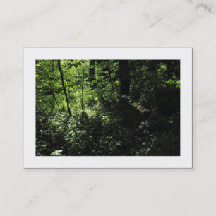Carte De Visite Printemps dans les Bois 05 (Encadré)