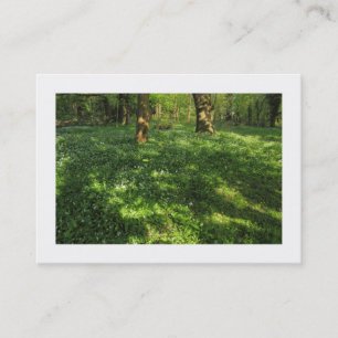 Carte De Visite Printemps dans les bois (bordé)