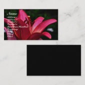 Carte de visite proche de Red Lily (Devant / Derrière)