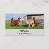 Carte De Visite Producteur de laine d'Alpaca modifiable (Devant)