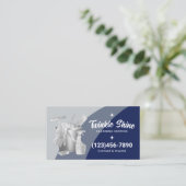 Carte De Visite Professional House Cleaning Service Blue Silver (Debout devant)