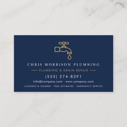 Carte De Visite Professional Plumbing Service QR Code (Devant)