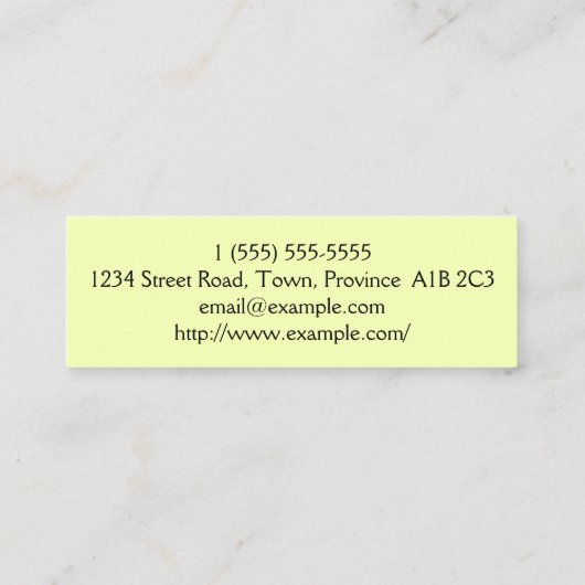 Carte de visite professionnel de décorateur (Dos)