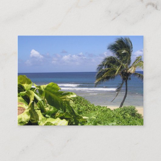 Carte de visite professionnel de voyage (Devant)