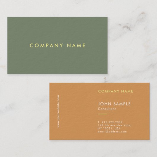 Carte De Visite Professionnel Elegant Design Simple Modèle Luxe (Devant / Derrière)