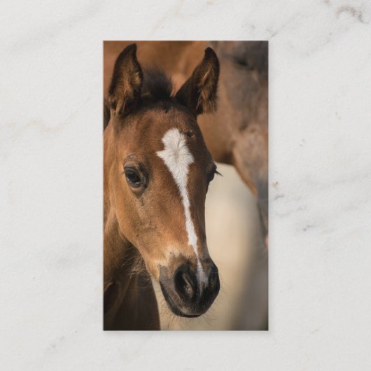 Carte de visite professionnel Horse Stables (Devant)