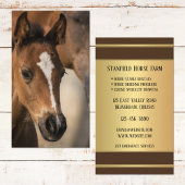 Carte de visite professionnel Horse Stables