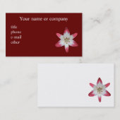 Carte de visite professionnelle de visite (Devant / Derrière)