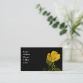 Carte de visite professionnelle de visite de ~ de (Debout devant)