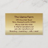 Carte de visite professionnelle de visite de ~ de (Dos)