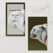 Carte De Visite Profil Bulldog anglais (Devant / Derrière)