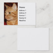 Carte De Visite Profil de visage de chat Tabou orange (Devant / Derrière)