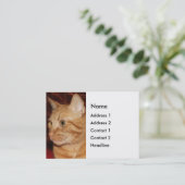 Carte De Visite Profil de visage de chat Tabou orange (Debout devant)