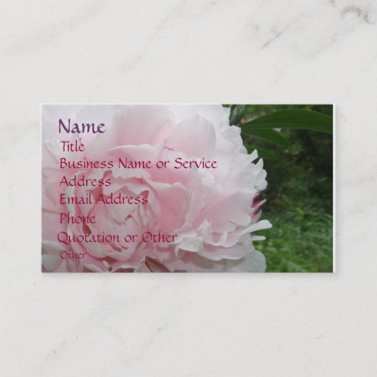 Carte De Visite Profil rose/carte de visite de pivoine (Devant)