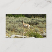 Carte De Visite Pronghorn au Parc national de Grand Teton (Dos)