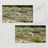 Carte De Visite Pronghorn au Parc national de Grand Teton (Devant / Derrière)