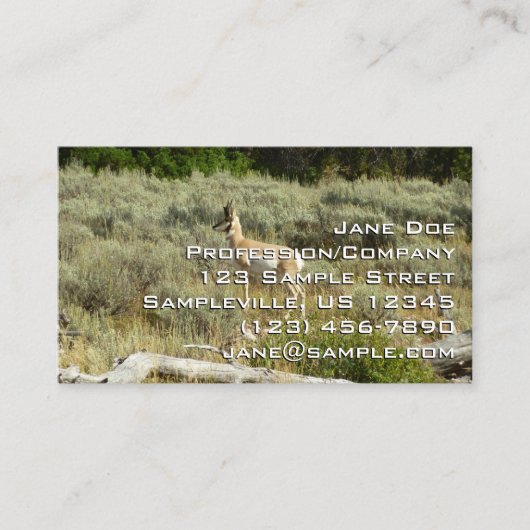 Carte De Visite Pronghorn au Parc national de Grand Teton (Devant)
