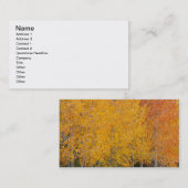 Carte De Visite Provo River et peupliers faux-trembles (Devant / Derrière)