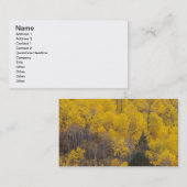 Carte De Visite Provo River et peupliers faux-trembles (Devant / Derrière)