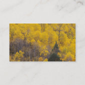 Carte De Visite Provo River et peupliers faux-trembles (Dos)