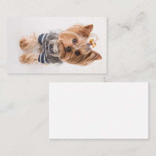 Carte De Visite pull-over (Devant / Derrière)