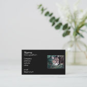 Carte De Visite Puma de observation (Debout devant)