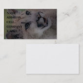 Carte De Visite 'Puma de totem sur le Hunt (Devant / Derrière)