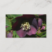 Carte De Visite Purple Carême Rose Pâques (Dos)