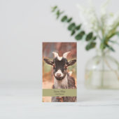 Carte De Visite Pygmy Chèvre ferme de campagne (Debout devant)