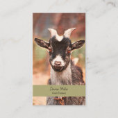 Carte De Visite Pygmy Chèvre ferme de campagne (Devant)