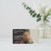 Carte de visite quart américain de cheval (Debout devant)