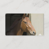 Carte de visite quart américain de cheval (Dos)