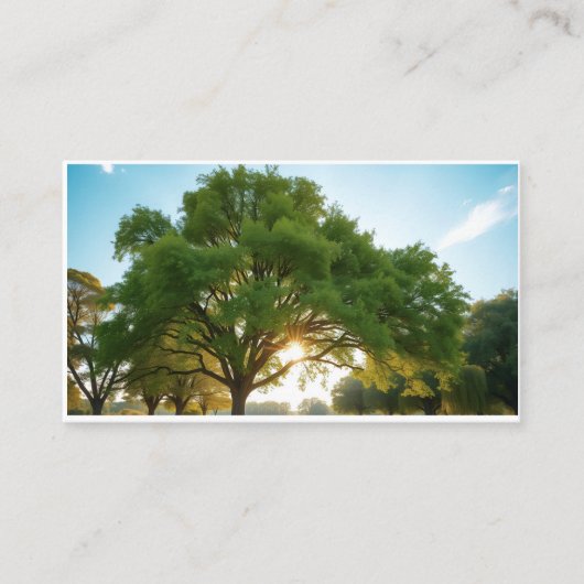 Carte De Visite Quiet Time With a Big Tree  (Devant)